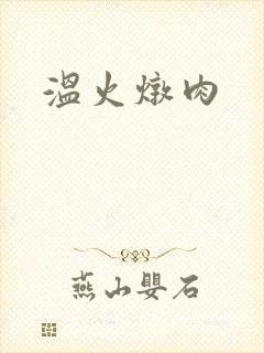 温火炖肉