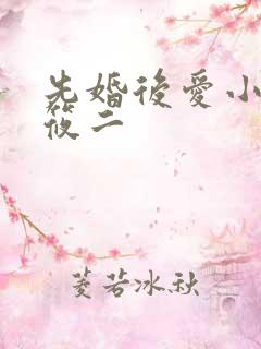 先婚后爱小说梦筱二