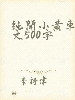 纯开小黄车小短文500字