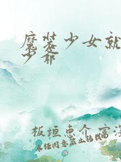 魔装少女就是本少爷