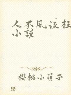 人不风流枉少年小说