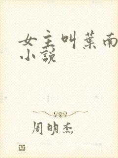 女主叫叶南初的小说