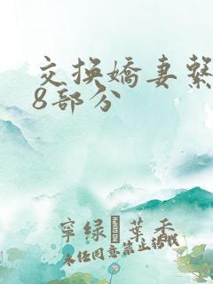 交换娇妻系列38部分