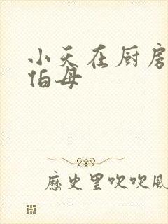 小天在厨房插杨伯母