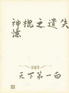 神棍之遗失的记忆