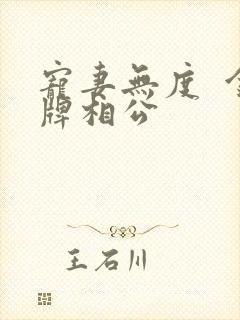 宠妻无度  金牌相公