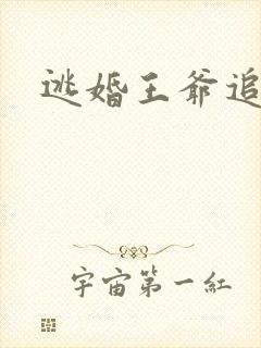 逃婚王爷追逃妃