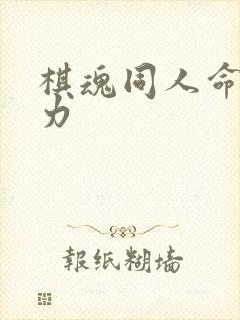 棋魂同人命运之力