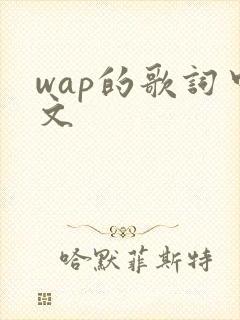 wap的歌词中文