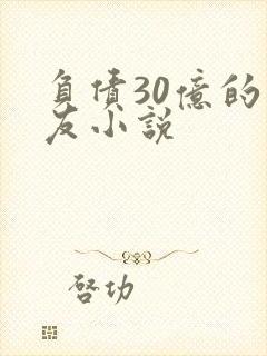 负债30亿的男友小说