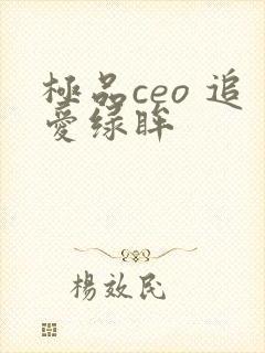 极品ceo 追爱绿眸