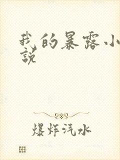 我的暴露小说小说