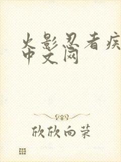 火影忍者疾风传中文网