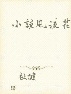 小说风流花少