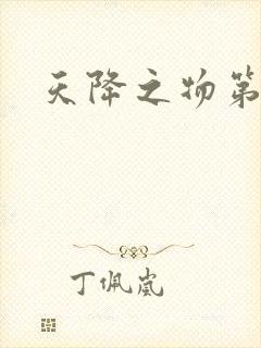 天降之物第一季