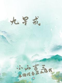 九星戒