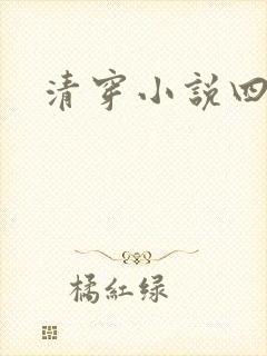 清穿小说四四