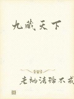 九藏天下
