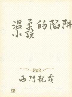 温柔的陷阱周芸小说