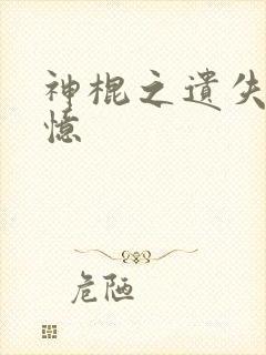 神棍之遗失的记忆