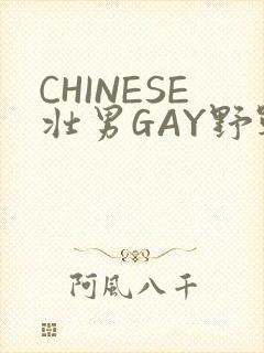 CHINESE壮男GAY野战强迫TUBE