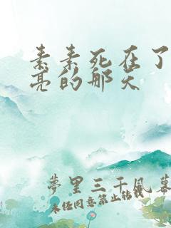 素素死在了最漂亮的那天