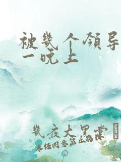 被几个领导玩弄一晚上