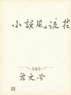 小说风流花少