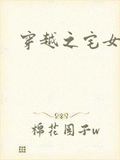 穿越之宅女夫人