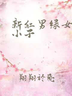 新红男绿女之坏小子