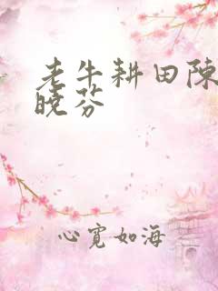 老牛耕田陈雪杨晓芬