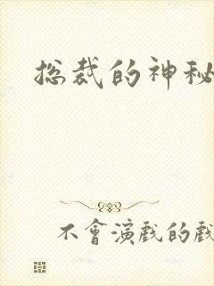 总裁的神秘情人