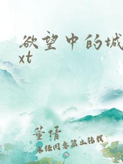 欲望中的城市txt