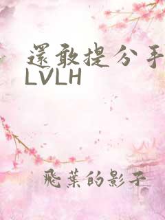 还敢提分手吗嗯LVLH