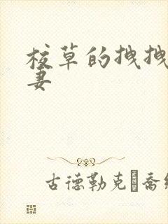 校草的拽拽未婚妻