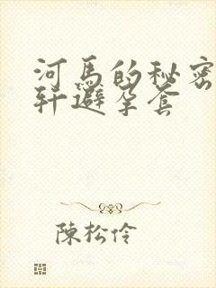 河马的秘密河文轩避孕套