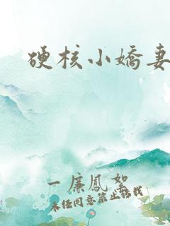 硬核小娇妻