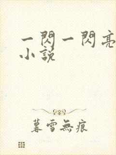 一闪一闪亮星星小说