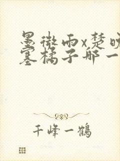 墨微雨x楚晚宁塞橘子哪一章