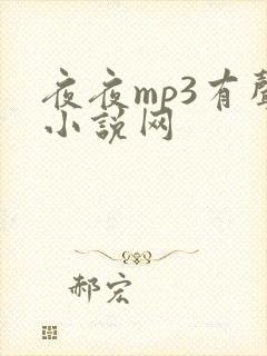 夜夜mp3有声小说网