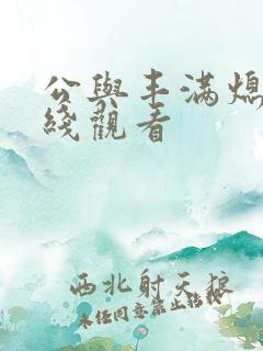 公与丰满熄4在线观看