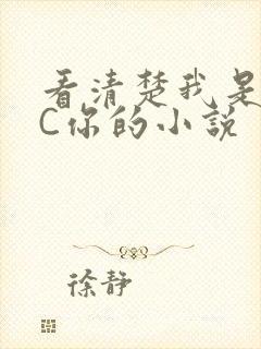 看清楚我是怎么C你的小说