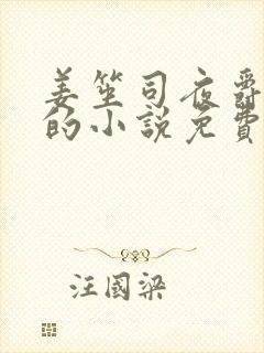 姜笙司夜爵顾念的小说免费阅读