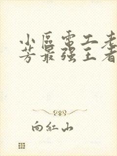 小区电工老周刘芳最强王者