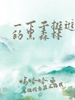 一下子挺进浓密的黑森林