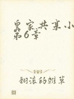 皇家共享小公主第6章