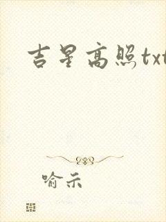 吉星高照txt