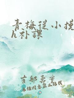 青梅从小摸到大h补课