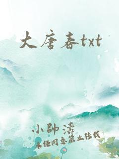 大唐春txt
