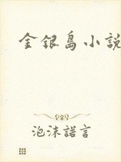 金银岛小说